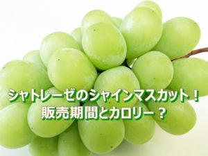 シャトレーゼの産直シャインマスカット！販売期間は？カロリーは？