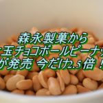 森永製菓のカレ･ド･ショコラ ピスタチオ 期間限定販売はいつまで？