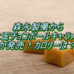 森永製菓のカレ･ド･ショコラ ピスタチオ 期間限定販売はいつまで？