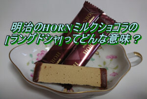 明治のHORNミルクショコラのラングドシャってどんな意味？