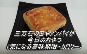 三万石のエキソンパイが今日のおやつ（気になる賞味期限・カロリー）