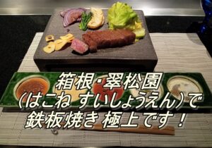 箱根・翠松園（はこね すいしょうえん）で鉄板焼き、極上でした！