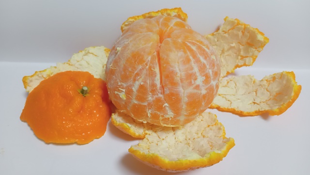 的兵(マトヒョウ)のデコポン!完熟で収穫するから最高に美味!