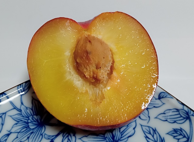 山梨県産の貴陽（きよう）プラムは爽やかな味！