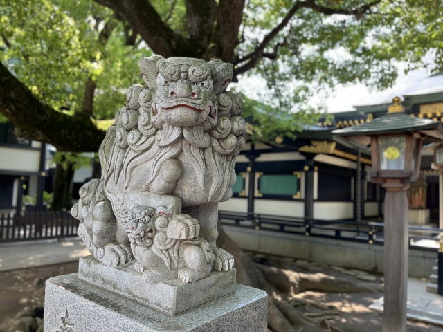 東京早稲田の穴八幡宮の一陽来復、混雑状況と駐車場情報を徹底解説