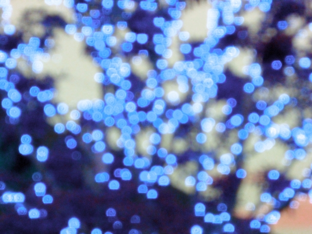 東京ドイツ村のイルミネーションの駐車場情報と混雑状況を徹底解説