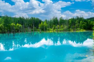 青い池のライトアップの駐車場情報と混雑状況を徹底解説