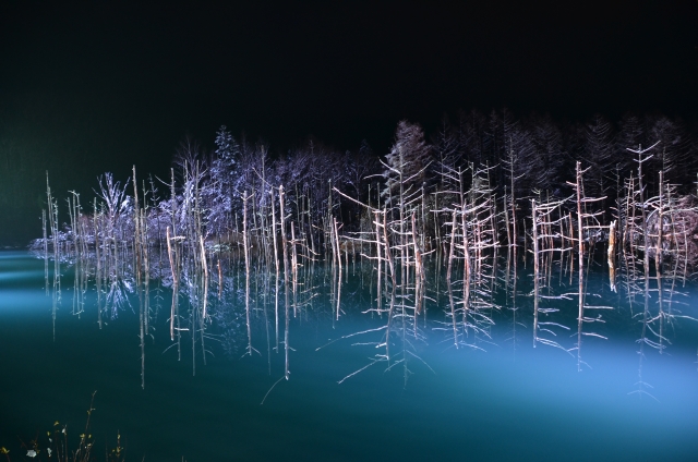 青い池のライトアップの混雑状況と駐車場情報を徹底解説