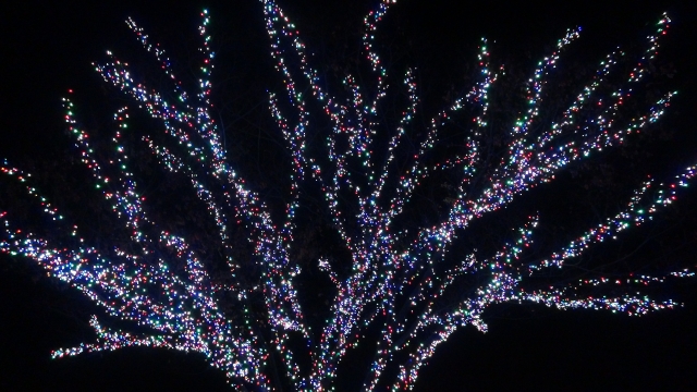 なばなの里のイルミネーションの混雑状況と駐車場情報を徹底解説