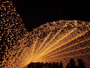 なばなの里のイルミネーションの混雑状況と駐車場情報を徹底解説