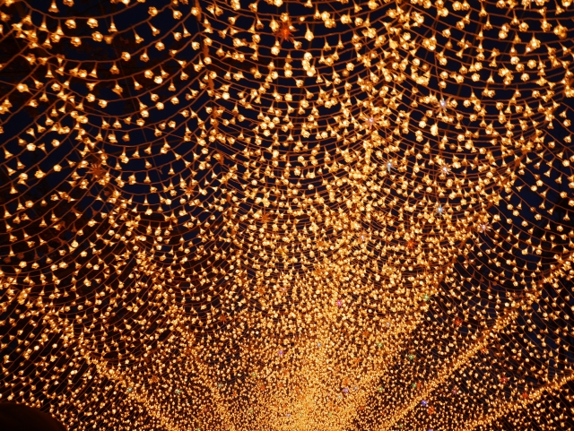 なばなの里のイルミネーションの混雑状況と駐車場情報を徹底解説