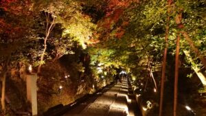 高台寺 特別拝観の駐車場情報と混雑状況を徹底解説