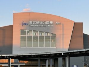 東武動物公園イルミネーションの駐車場情報と混雑状況を徹底解説