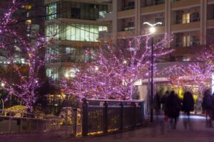 アートリンクin横浜赤レンガ倉庫の混雑状況と駐車場情報を徹底解説