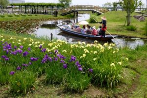 水郷佐原あやめ祭りの駐車場情報と混雑状況を徹底解説