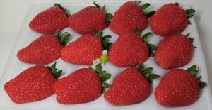 デザートはいちご、物凄く甘くて美味しかった！！