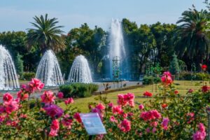 須磨離宮公園の春のバラ鑑賞会とは？駐車場情報・混雑状況を徹底解説