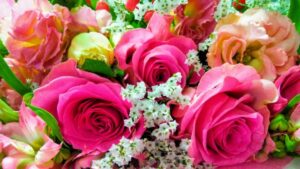 バラのスポット ガレリアかめおかのバラ園とは？アクセスと駐車場を解説