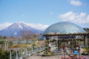 とっとり花回廊のオータムフェスティバルとは？イベントやアクセスを解説