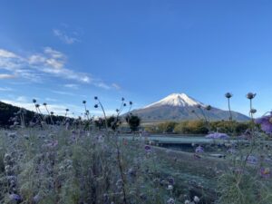 秋もおすすめ！ 花の都公園のコスモスの見頃やアクセス情報を解説