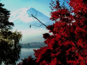 富士河口湖紅葉まつりとは？アクセスや混雑状況も徹底解説