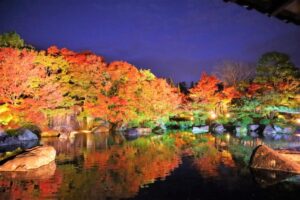 好古園の紅葉会とは？紅葉の見頃やアクセス情報も解説
