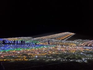 まんのう公園のウィンターファンタジとは？アクセスや混雑状況も解説