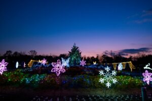 馬見丘陵公園の『馬見クリスマスウィーク』とは？アクセスや駐車場も解説