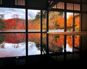 宝徳寺の秋の床もみじ特別公開とは？アクセスや混雑状況も徹底解説