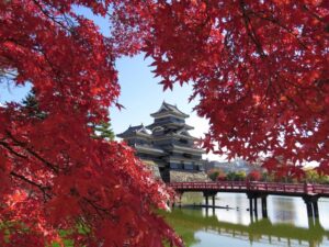 松本城の紅葉の見頃は？アクセスや周辺の駐車場も徹底解説