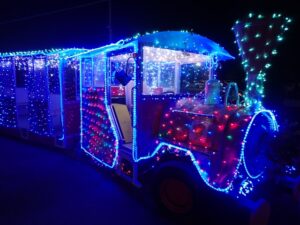 とっとり花回廊『フラワーイルミネーション』とは？イベント等を解説