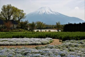 花の都公園の山中湖イルミネーションファンタジウムとは？アクセスも解説