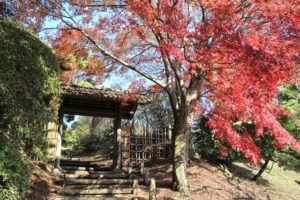 偕楽園の紅葉の見頃は？アクセスや周辺の駐車場情報も徹底解説