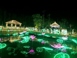 東南植物楽園の沖縄南国イルミネーションとは？アクセスや混雑を解説