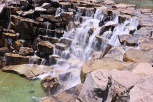 まんのう公園の春らんまんフェスタとは？アクセス・駐車場情報も解説