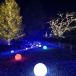 神戸イルミナージュ(2023-2024)のアクセス・混雑予想を徹底解説