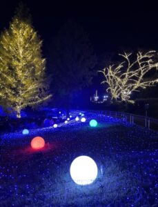 神戸イルミナージュ(2023-2024)のアクセス・混雑予想を徹底解説