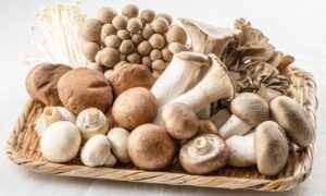 家事ヤロウで紹介！キノコを使った節約レシピが美味しい