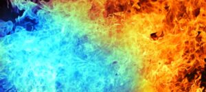 忍者と極道　アニメ化するけどどんな漫画？