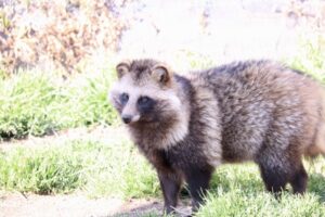 雨と君と　追加キャスト情報＆ティザーPVが公開