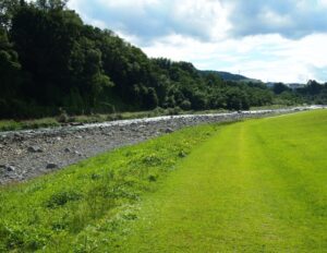 光が死んだ夏　メインPV第1弾＆追加キャスト情報が公開！