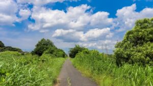 光が死んだ夏　アニメ放送開始は7月5日から！メインPV第2弾も公開