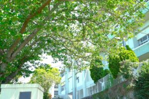 薫る花は凛と咲く　放送開始日が判明！本PV＆OP・EDテーマ情報も公開