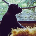 ダーウィン事変　メインキャスト＆第1弾PVなども公開