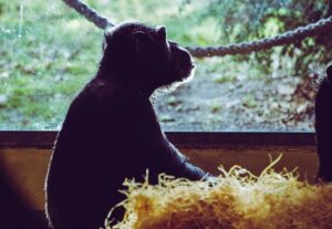 ダーウィン事変　メインキャスト＆第1弾PVなども公開