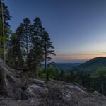 黄泉のツガイ　放送開始日が判明！追加キャスト情報も登場